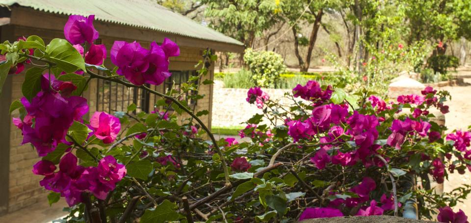 Woodlands Lilongwe Hotel Ngoại thất bức ảnh