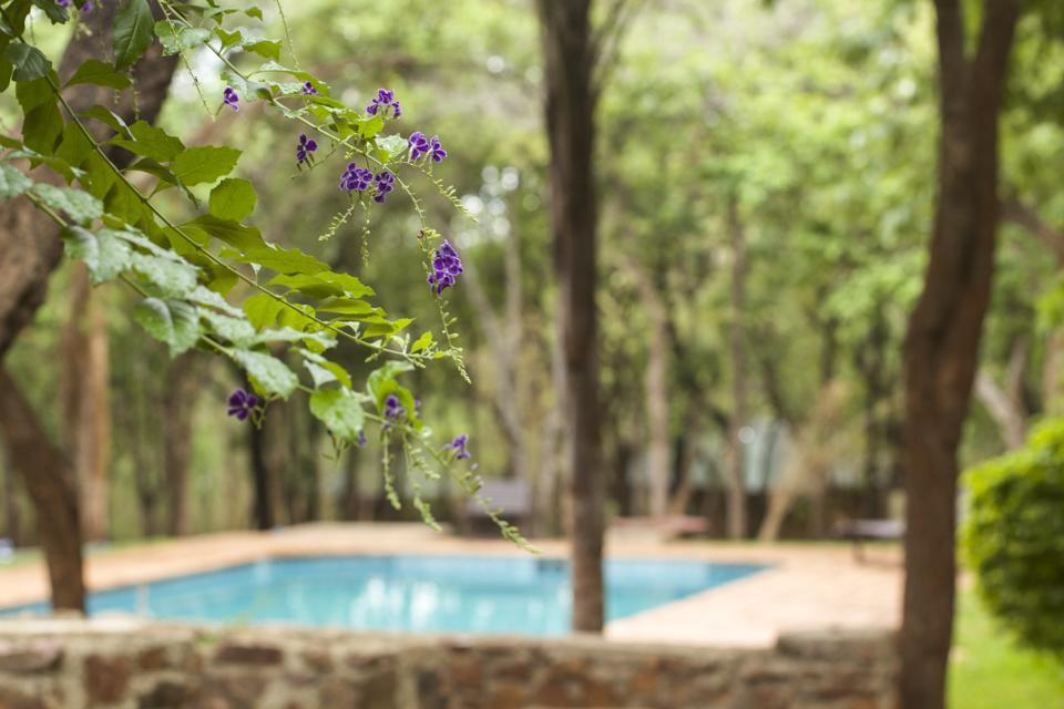 Woodlands Lilongwe Hotel Ngoại thất bức ảnh